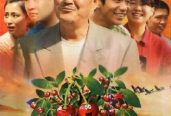 电视剧 樱桃,爱与复仇的交织