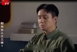 伦理电视剧,揭秘电视剧中的道德冲突与人性抉择